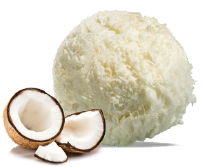 Coconut Gelato Coconut Gelato