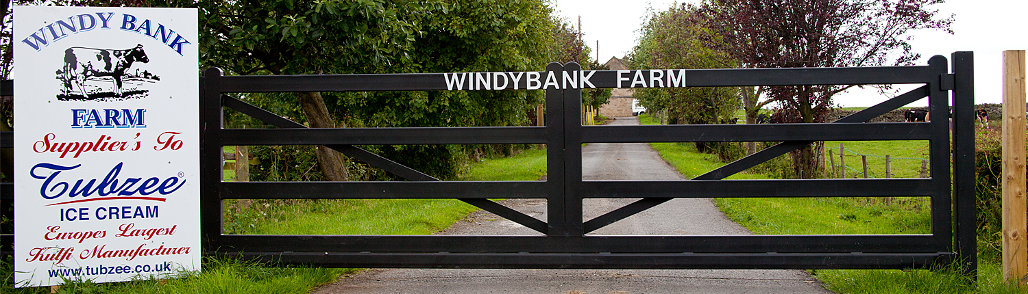 Dairy Farm 1