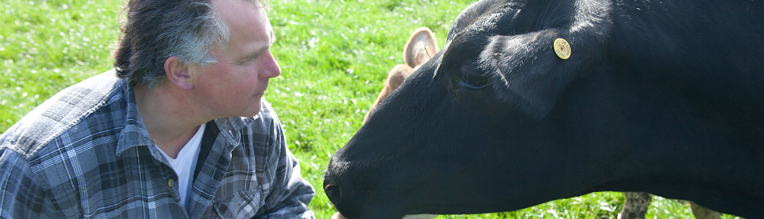 Dairy Farm 4