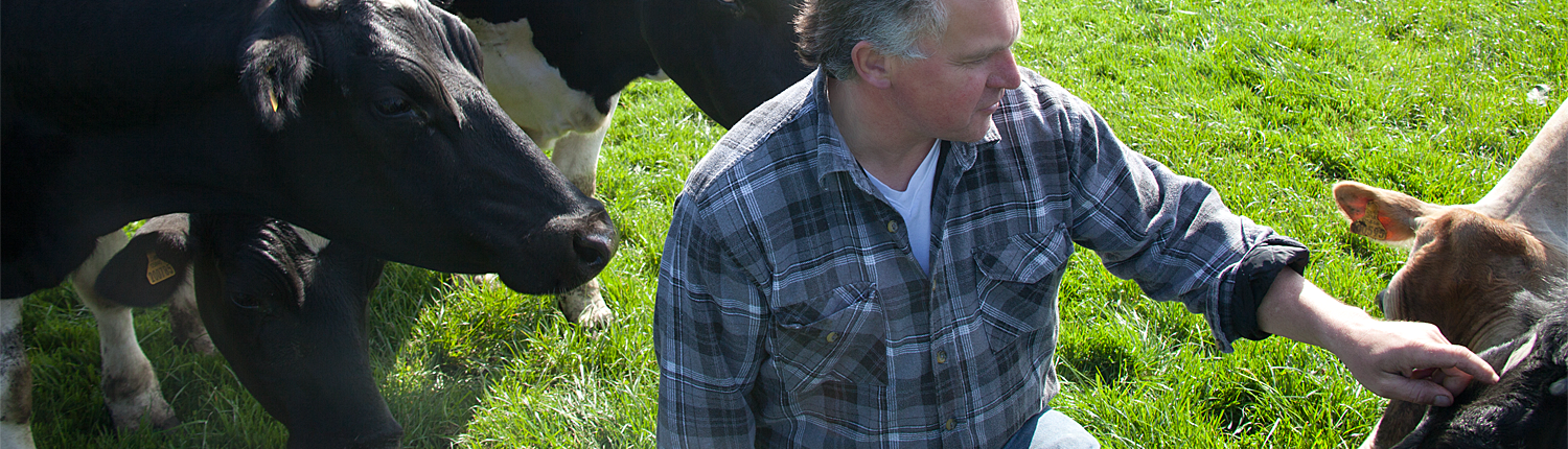 Dairy Farm 5