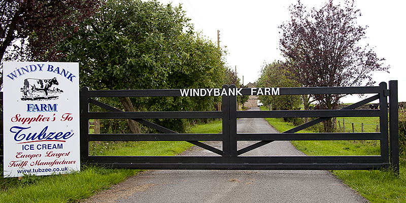 Windy Bank 1